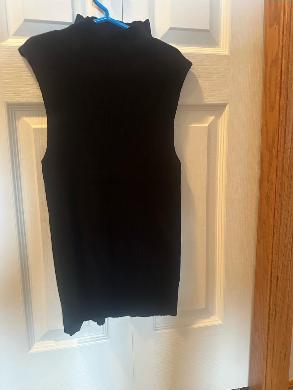 Sleeveless Black Ribbed Mock Neck Top
